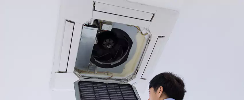 Benefits of Professional Air Duct Cleaning in Northampton, Massachusetts
