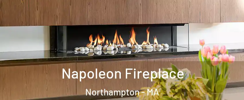 Napoleon Fireplace Northampton - MA